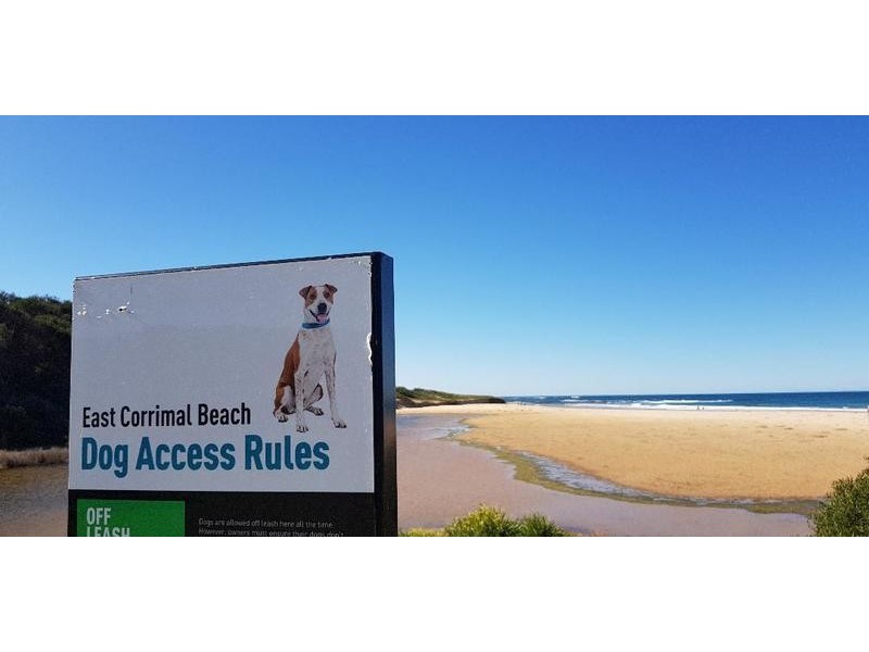 26 Pioneer Road, Bellambi NSW 2518