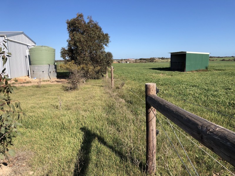 Lot 290 Toole Road, Kadina SA 5554
