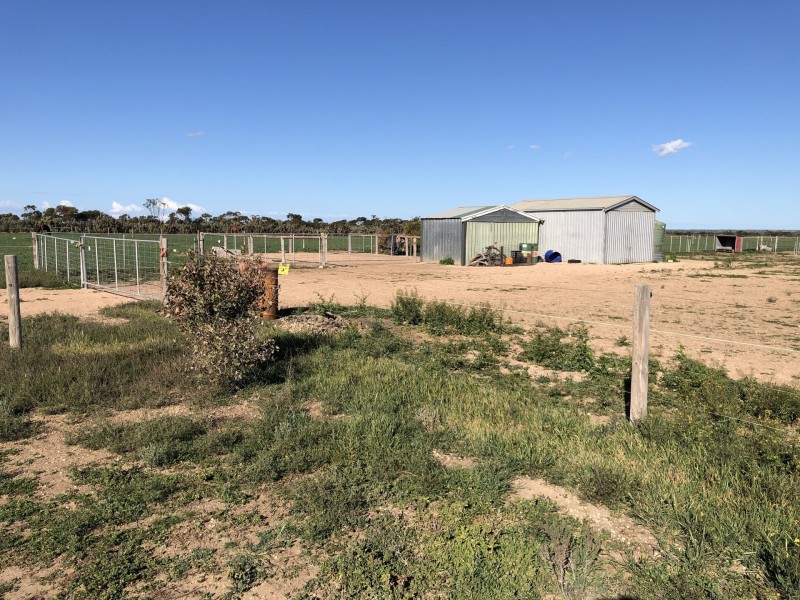 Lot 290 Toole Road, Kadina SA 5554