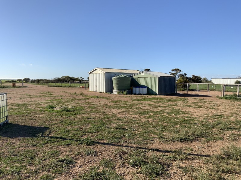 Lot 290 Toole Road, Kadina SA 5554