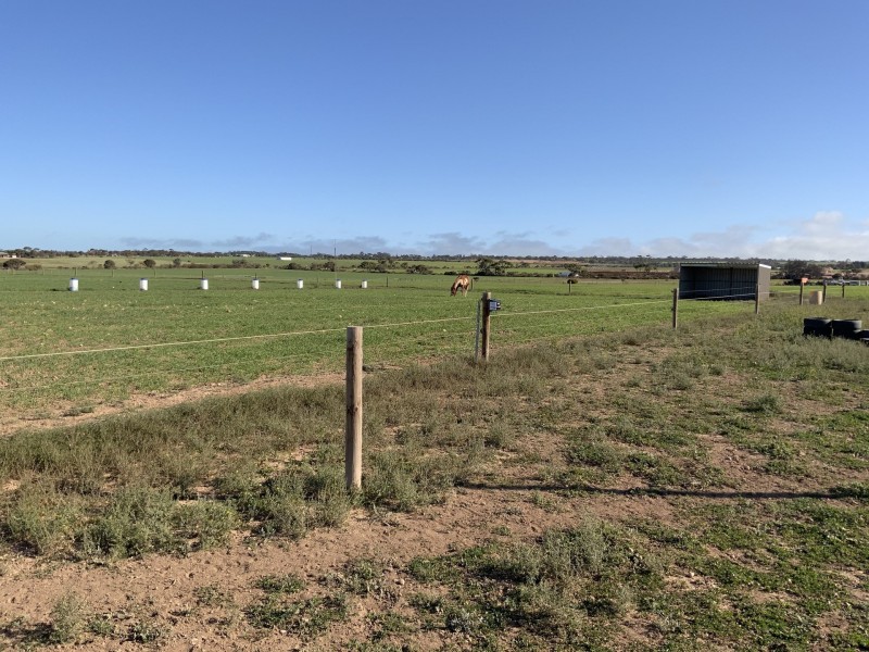 Lot 290 Toole Road, Kadina SA 5554