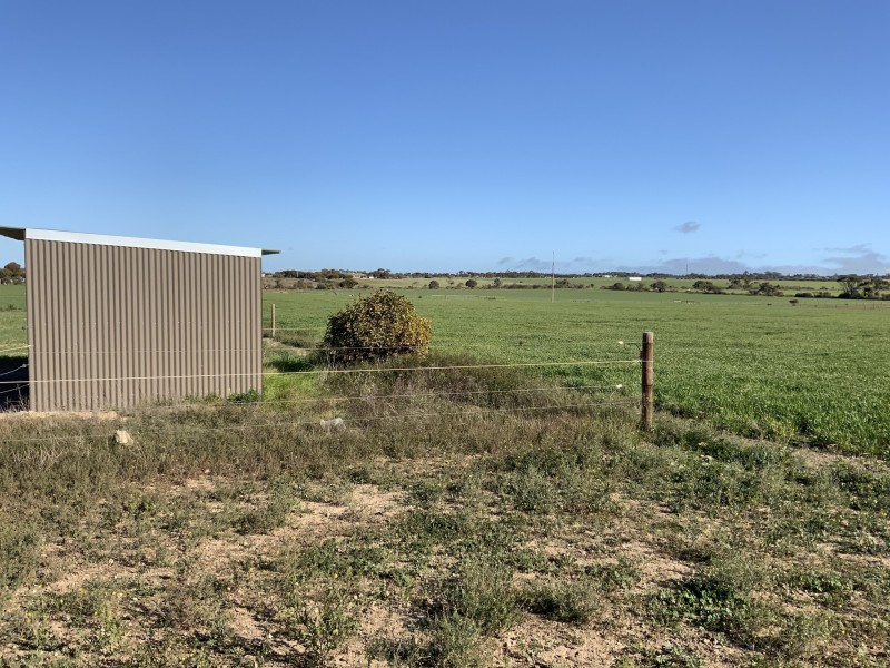 Lot 290 Toole Road, Kadina SA 5554