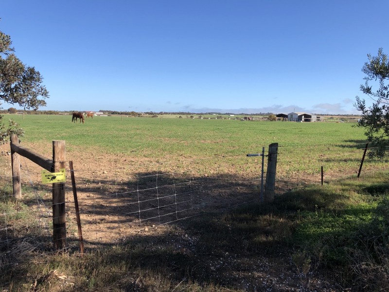 Lot 290 Toole Road, Kadina SA 5554