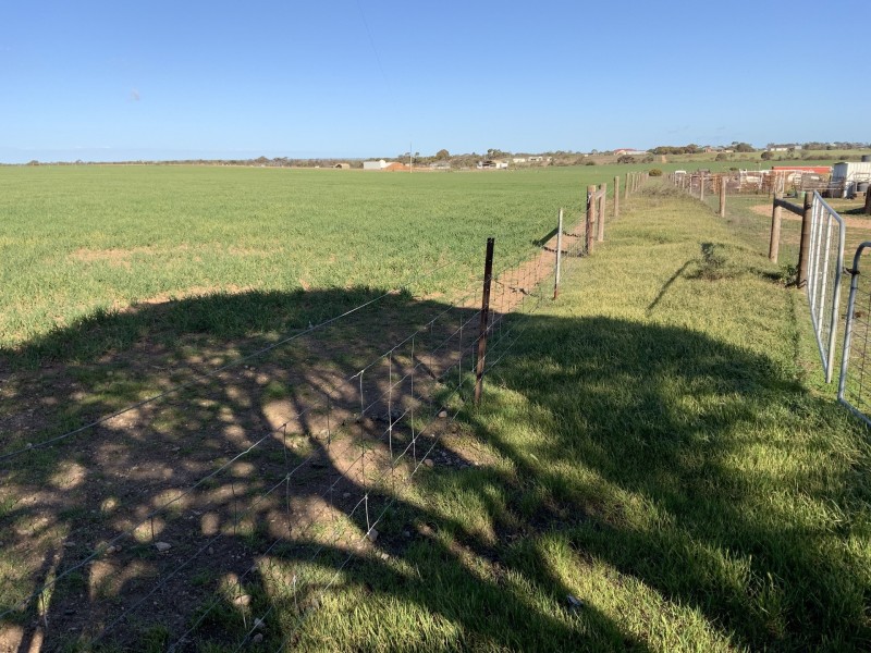 Lot 290 Toole Road, Kadina SA 5554