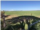 Lot 290 Toole Road, Kadina SA 5554