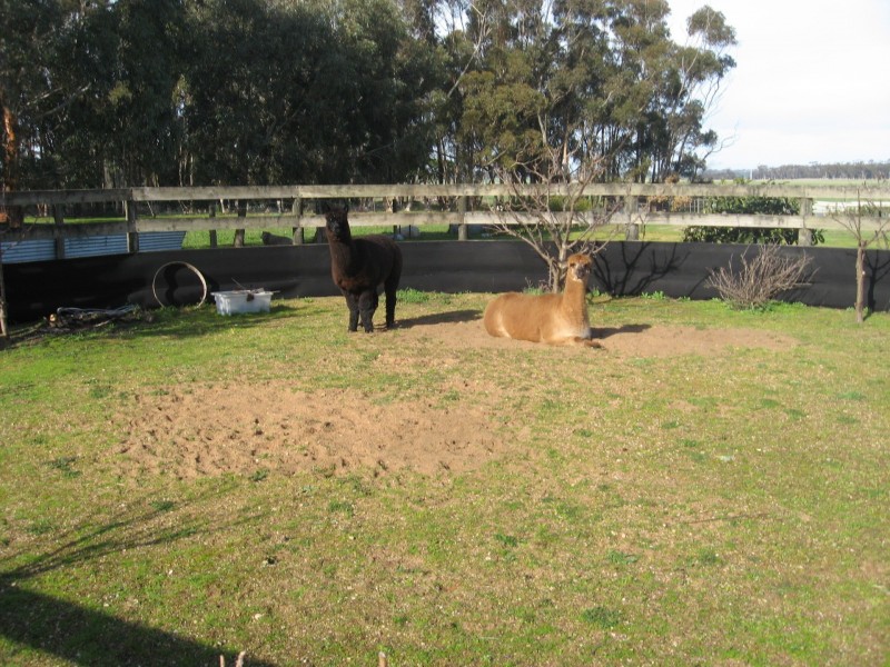 14 Camperdown-Lismore Road, Lismore VIC 3324