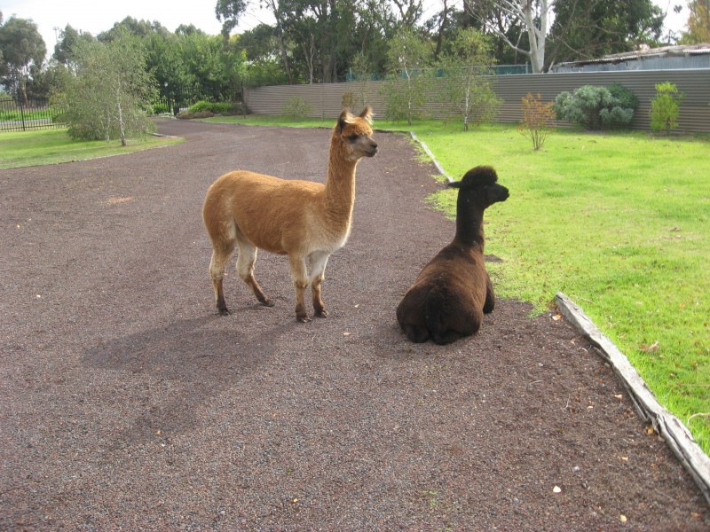 14 Camperdown-Lismore Road, Lismore VIC 3324