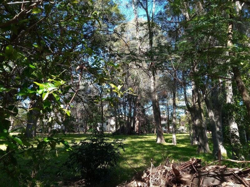 19 Tomakin Place, Tomakin NSW 2537