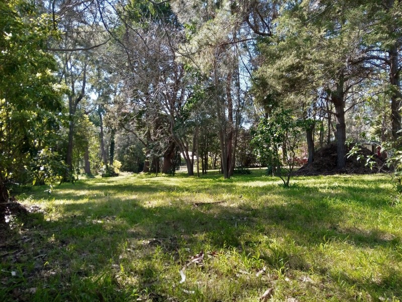 19 Tomakin Place, Tomakin NSW 2537