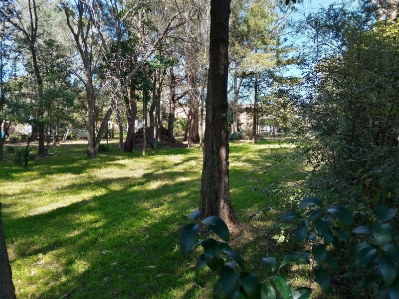 19 Tomakin Place, Tomakin NSW 2537