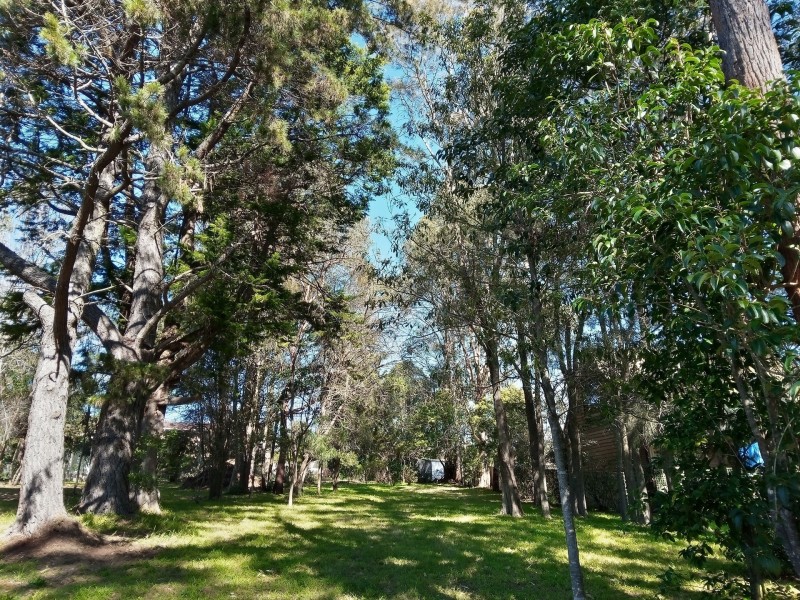 19 Tomakin Place, Tomakin NSW 2537