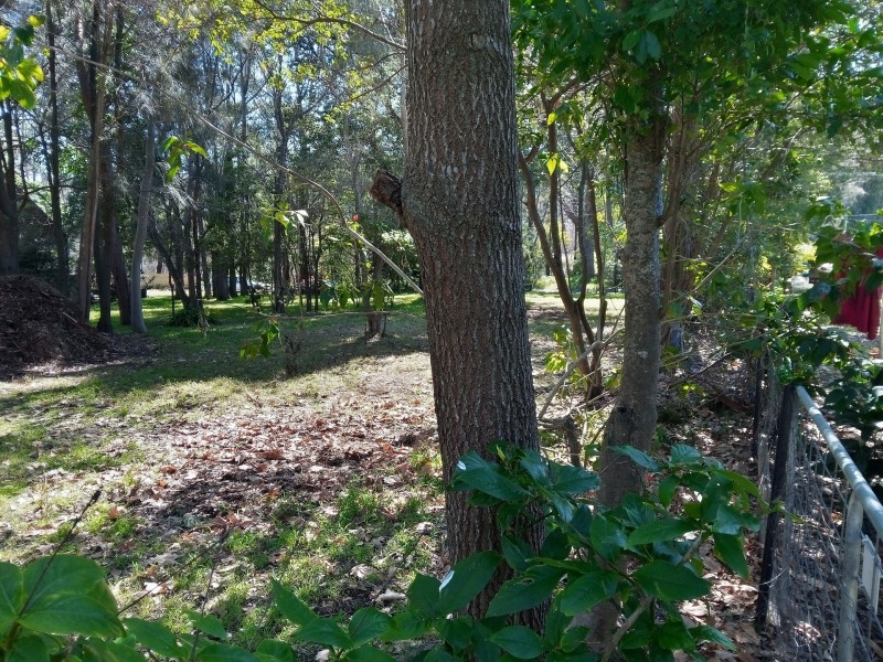 21 Tomakin Place, Tomakin NSW 2537