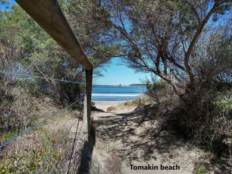 21 Tomakin Place, Tomakin NSW 2537