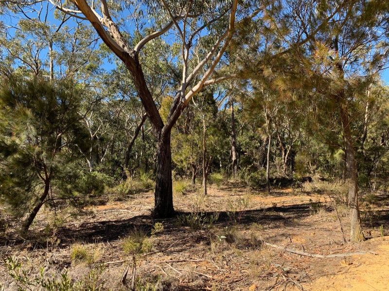 5-7 Clarendon Street, Wentworth Falls NSW 2782