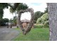4 Couzens Lane, Romsey VIC 3434