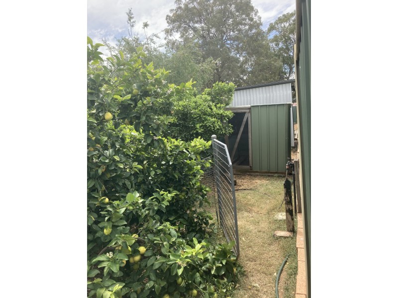 69 Satur Road, Scone NSW 2337