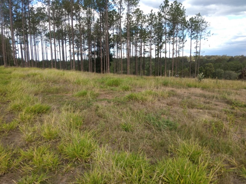 Lot 217 Stevenson Rd, Glenwood QLD 4570
