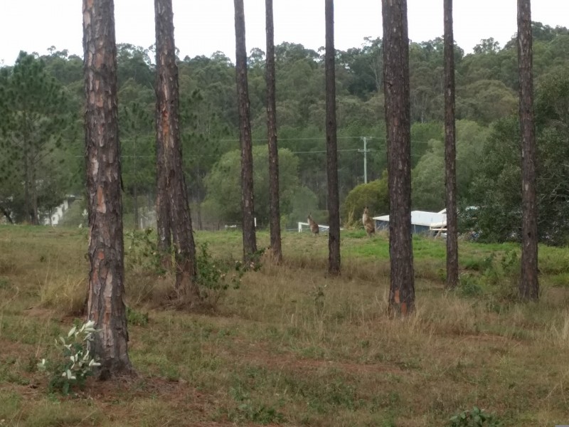 Lot 217 Stevenson Rd, Glenwood QLD 4570