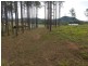 Lot 217 Stevenson Rd, Glenwood QLD 4570