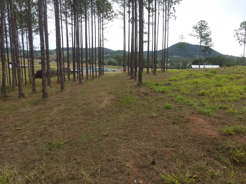 Lot 217 Stevenson Rd, Glenwood QLD 4570
