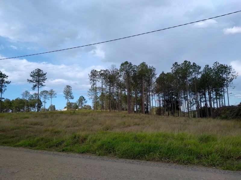 Lot 217 Stevenson Rd, Glenwood QLD 4570