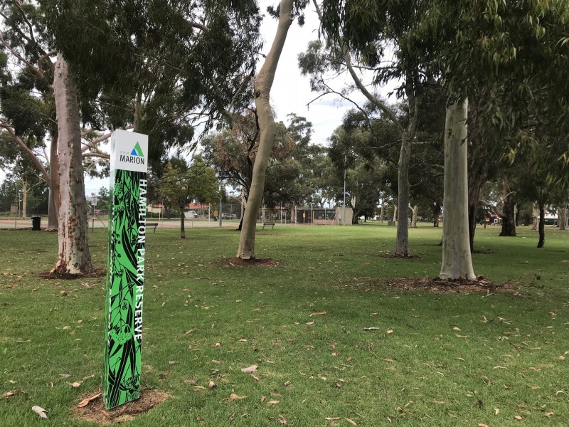 35 Hamilton Avenue, Warradale SA 5046