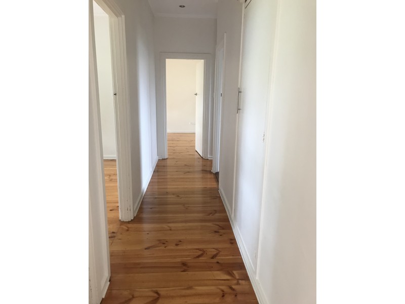 35 Hamilton Avenue, Warradale SA 5046