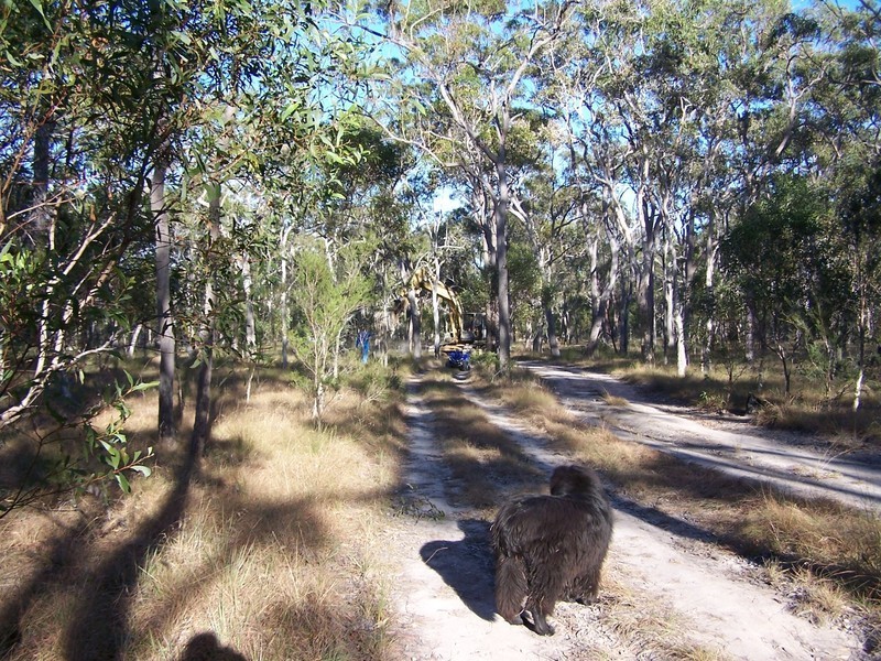 97 Pacific Haven Circuit, Pacific Haven QLD 4659