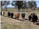 Emaroo Coolmunda Access, Coolmunda QLD 4387