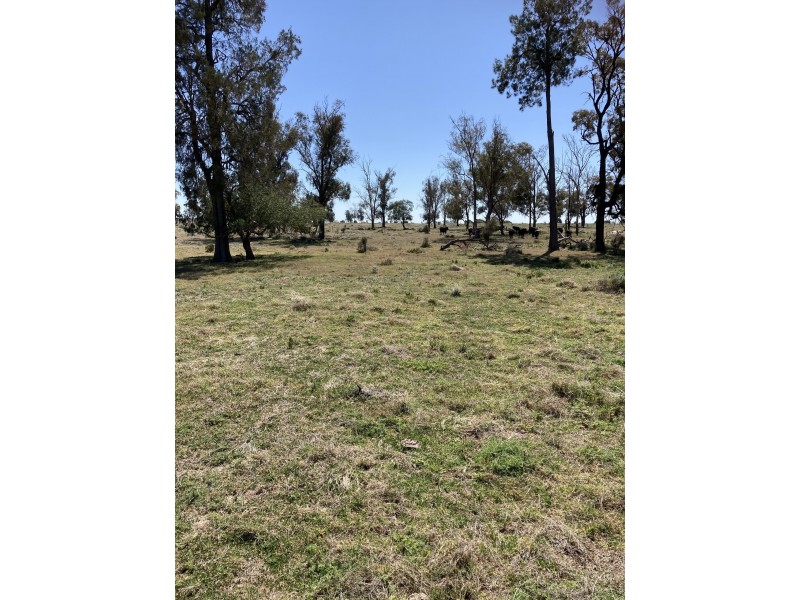 Emaroo Coolmunda Access, Coolmunda QLD 4387