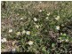 Emaroo Coolmunda Access, Coolmunda QLD 4387