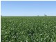 Emaroo Coolmunda Access, Coolmunda QLD 4387