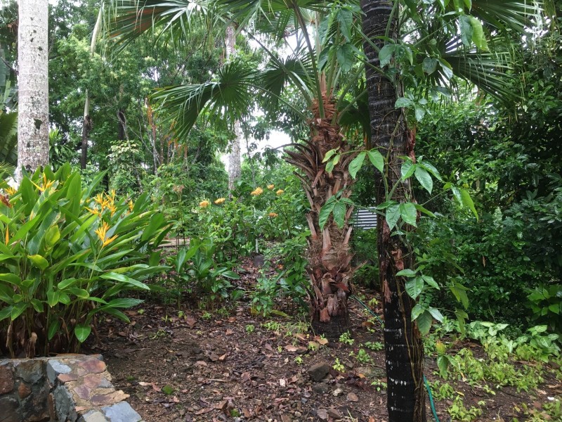 267 Sugarloaf Road, Sugarloaf QLD 4800