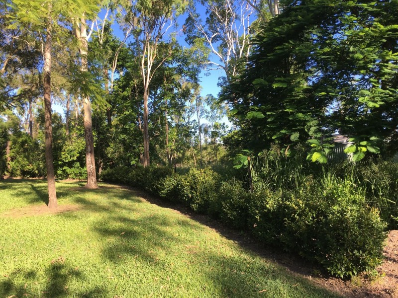 267 Sugarloaf Road, Sugarloaf QLD 4800