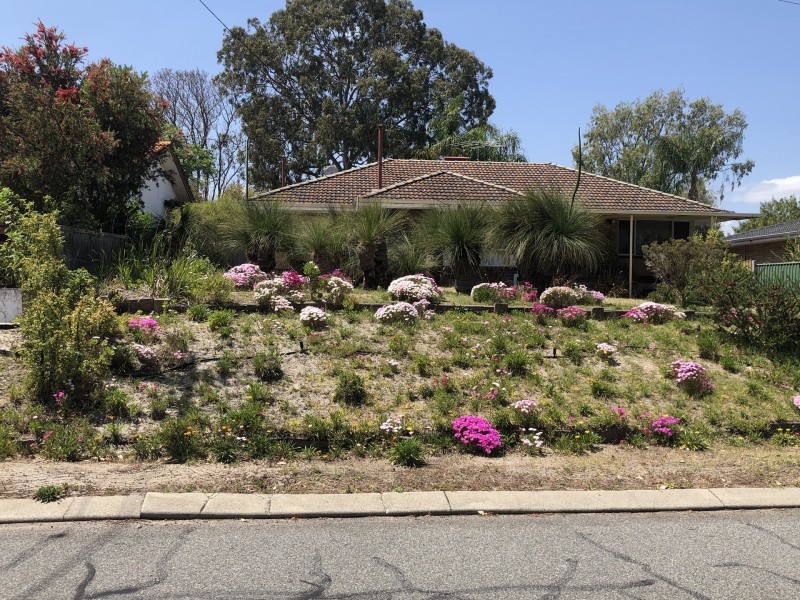 37 Cumberland Way, Bassendean WA 6054