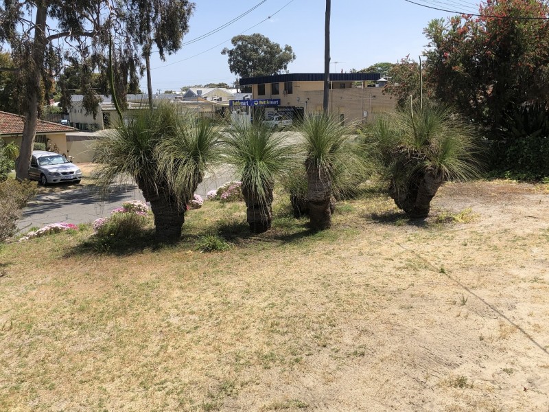 37 Cumberland Way, Bassendean WA 6054