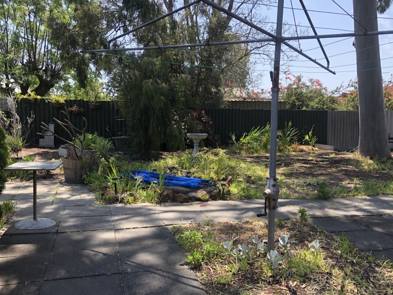 37 Cumberland Way, Bassendean WA 6054