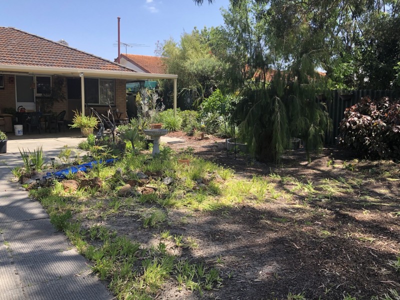 37 Cumberland Way, Bassendean WA 6054