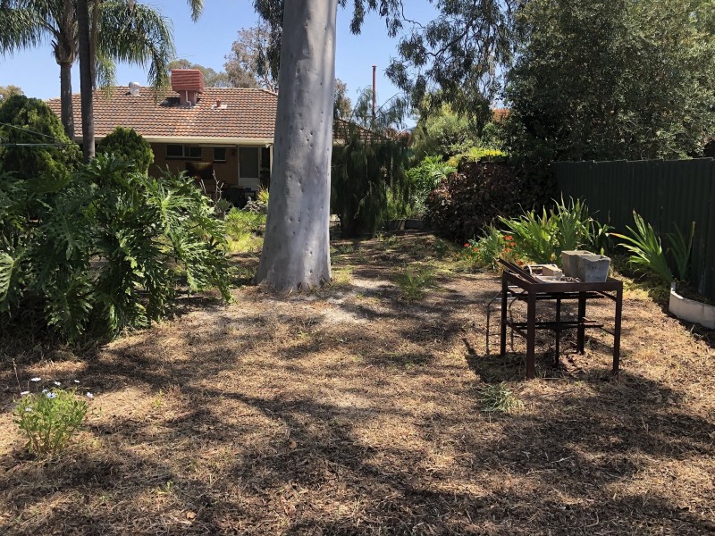 37 Cumberland Way, Bassendean WA 6054