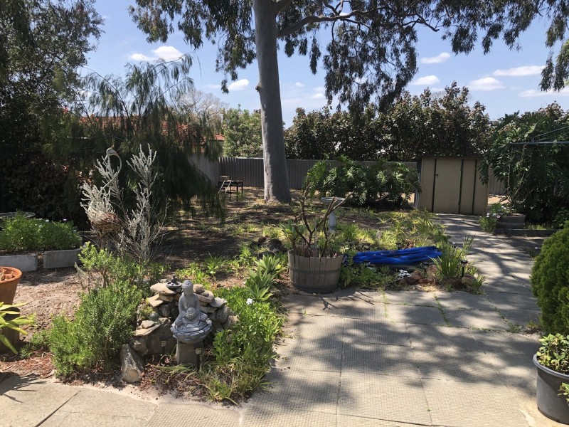 37 Cumberland Way, Bassendean WA 6054