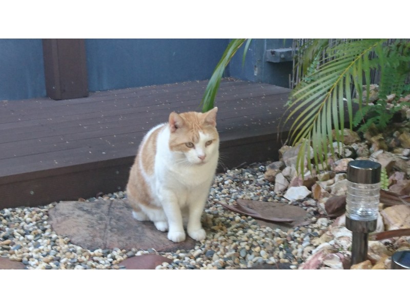 3/10 Links Road, Marrara NT 0812