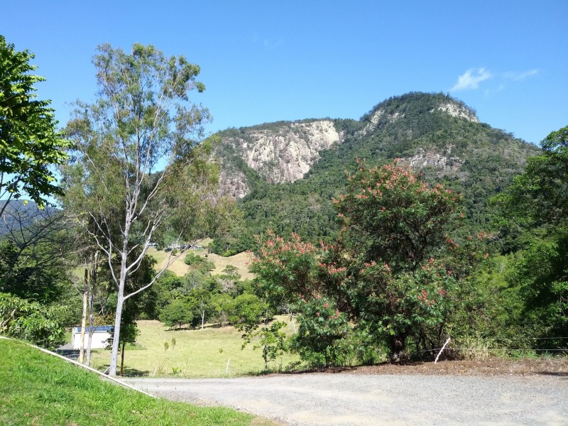 1187 Yakapari Seaforth Road, Mount Jukes QLD 4740