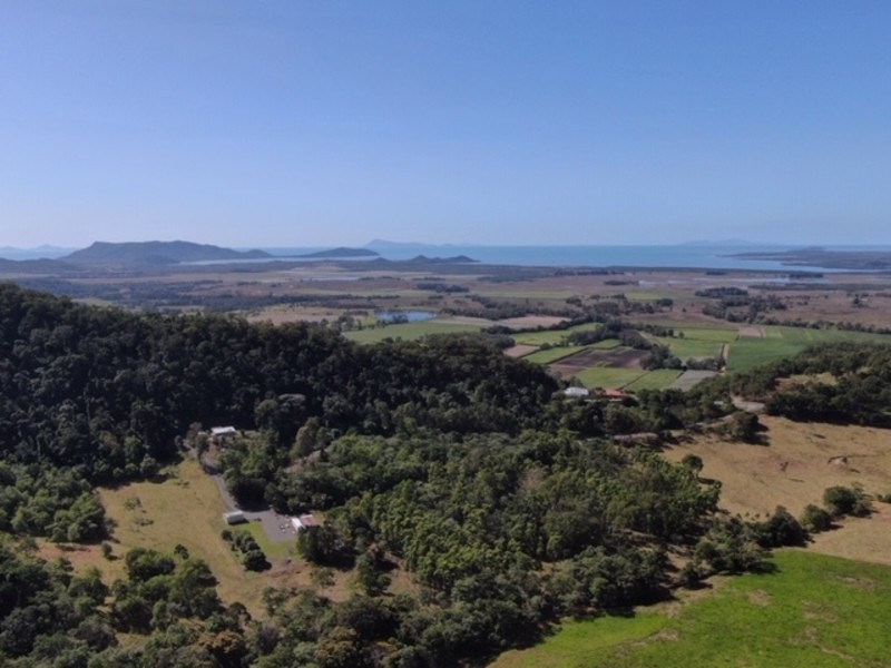 1187 Yakapari Seaforth Road, Mount Jukes QLD 4740
