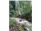 1187 Yakapari Seaforth Road, Mount Jukes QLD 4740