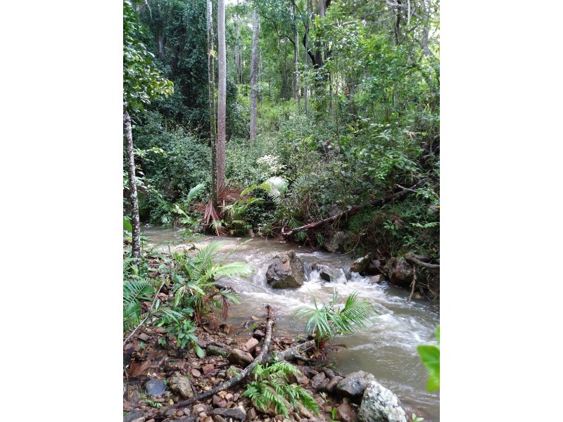 1187 Yakapari Seaforth Road, Mount Jukes QLD 4740
