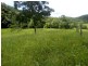 1187 Yakapari Seaforth Road, Mount Jukes QLD 4740