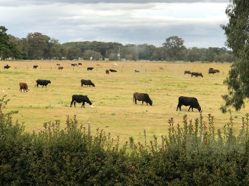 54 Rileys Hill Road, Broadwater NSW 2472