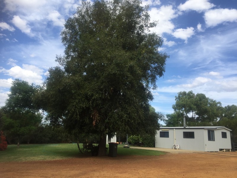 13 Housden close, Muchea WA 6501