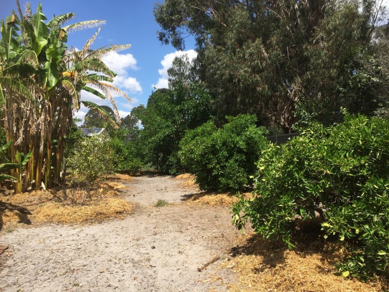 13 Housden close, Muchea WA 6501