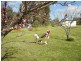 Knowsley VIC 3523